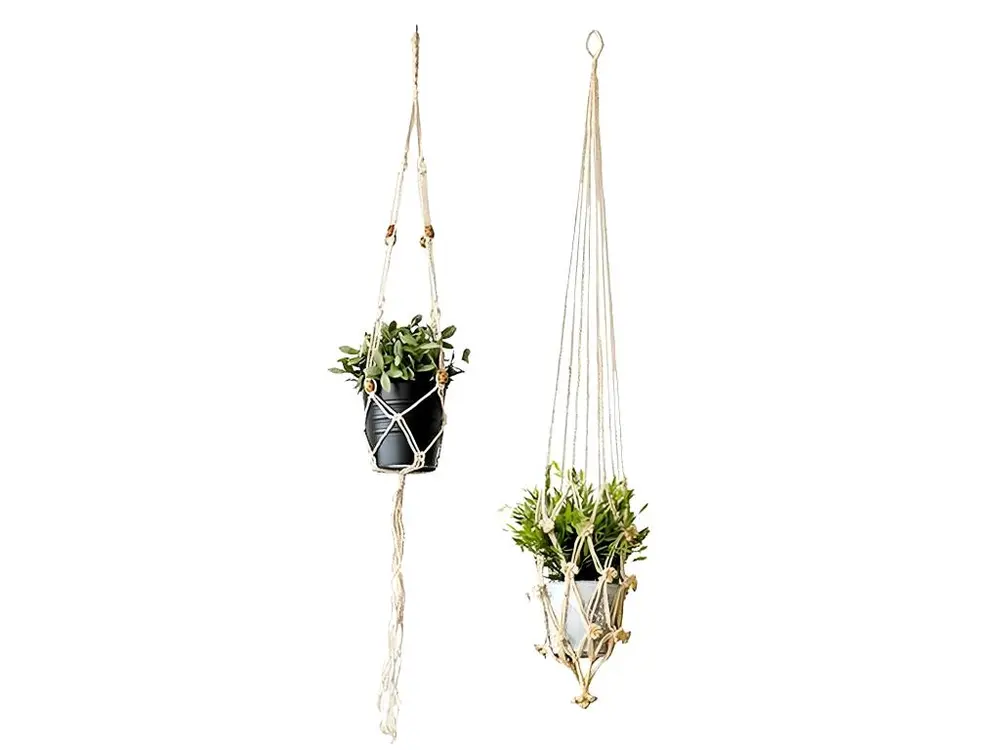 Autocollant Mural Suspensions Plantes