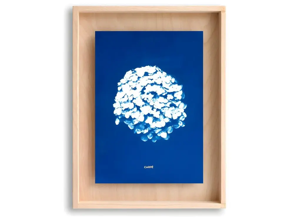 Cadre Carpë cyanotype Hortensia 40x30cm Bleu Swabdesign