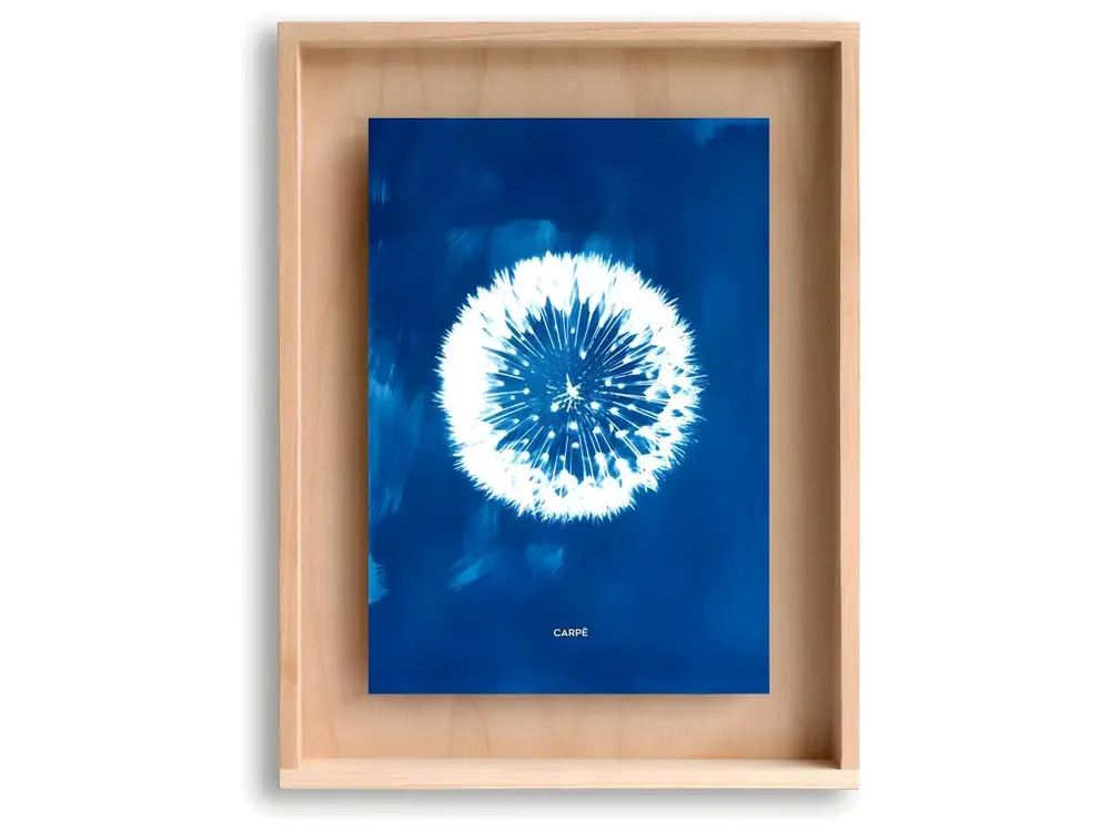 Cadre Carpë cyanotype Pissenlit 40x30cm Bleu Swabdesign