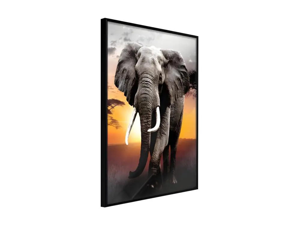 Affiche Murale Encadrée "Majestic Elephant" 20 x 30 cm Noir