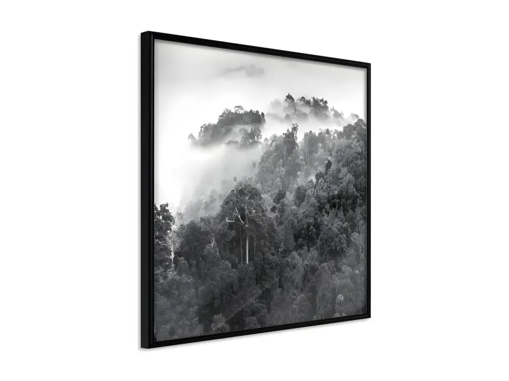 Affiche Murale Encadrée "Foggy Forest" 30 x 30 cm Noir