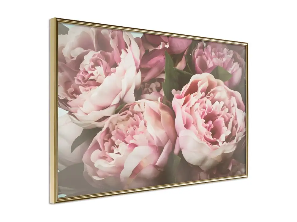 Affiche Murale Encadrée "Pastel Peonies" 30 x 20 cm Or