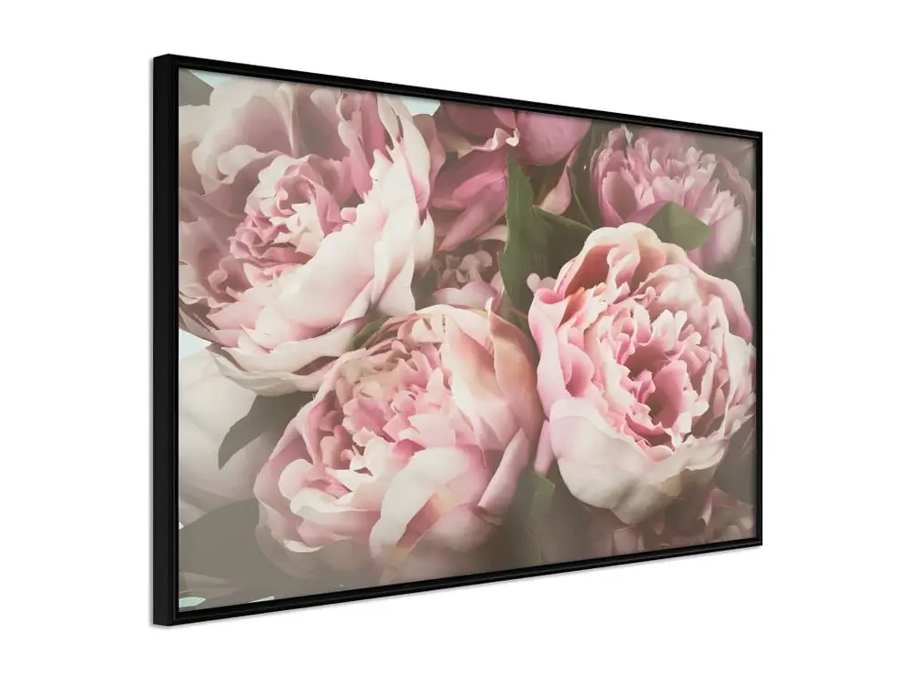 Affiche Murale Encadrée "Pastel Peonies" 90 x 60 cm Noir