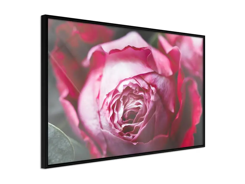 Affiche Murale Encadrée "Blooming Rose" 90 x 60 cm Noir