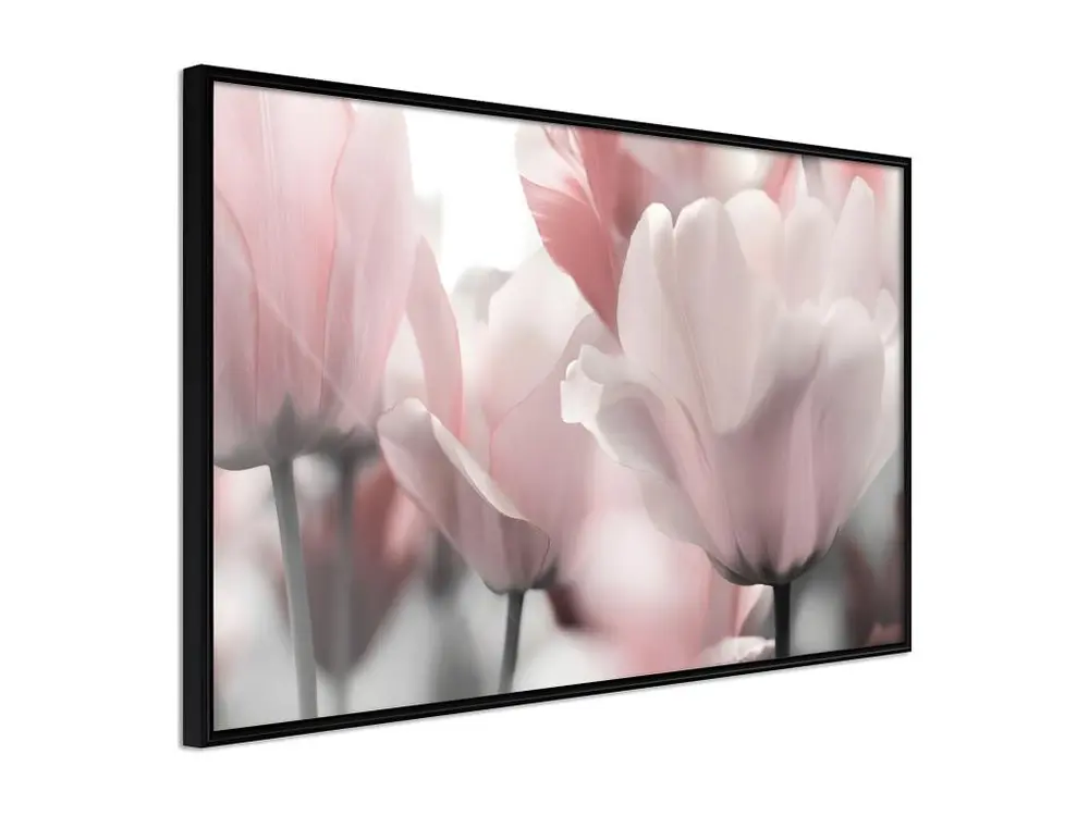 Affiche Murale Encadrée "Pastel Tulips II" 60 x 40 cm Noir