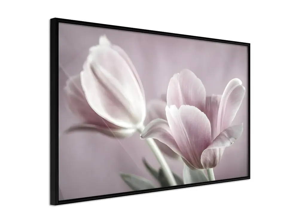 Affiche Murale Encadrée "Pastel Tulips I" 30 x 20 cm Noir