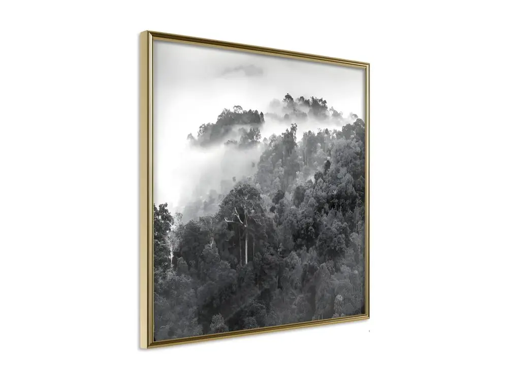 Affiche Murale Encadrée "Foggy Forest" 50 x 50 cm Or