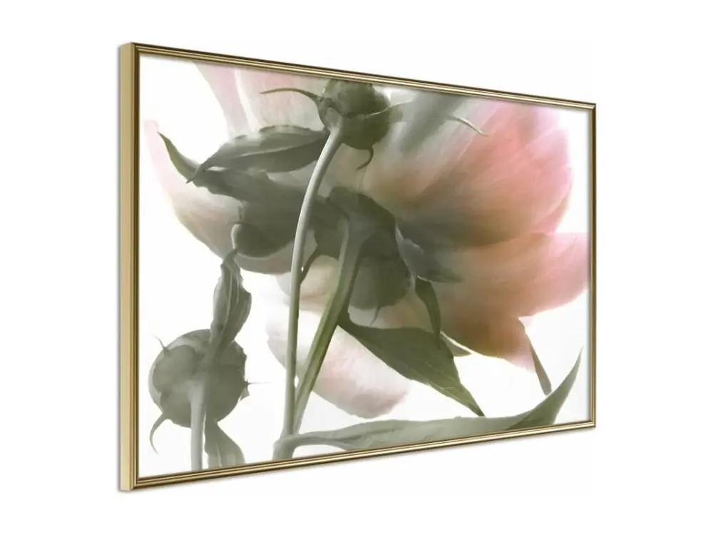 Affiche Murale Encadrée "Under the Flower" 60 x 40 cm Or