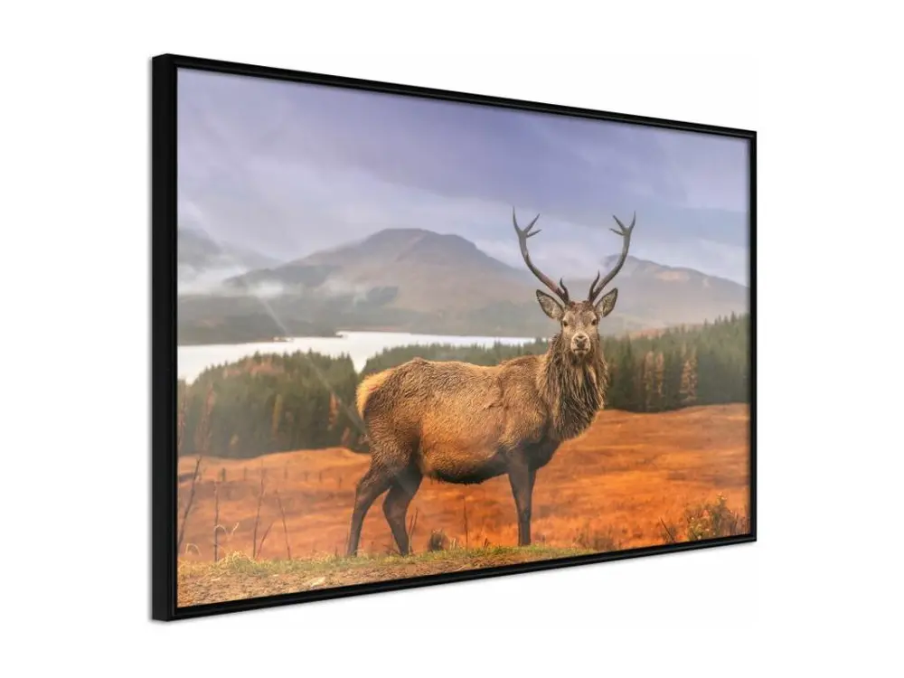 Affiche Murale Encadrée "Majestic Deer" 90 x 60 cm Noir