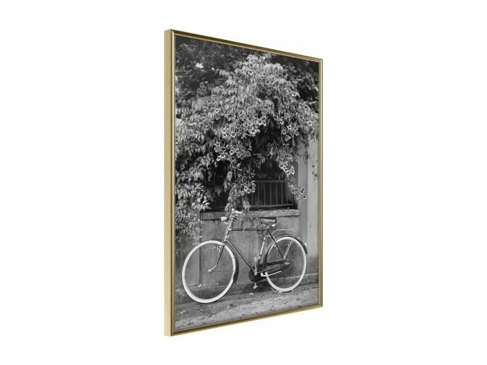 Affiche Murale Encadrée "Bicycle with White Tires" 20 x 30 cm Or