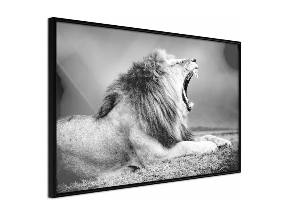 Affiche Murale Encadrée "Yawning Lion" 90 x 60 cm Noir