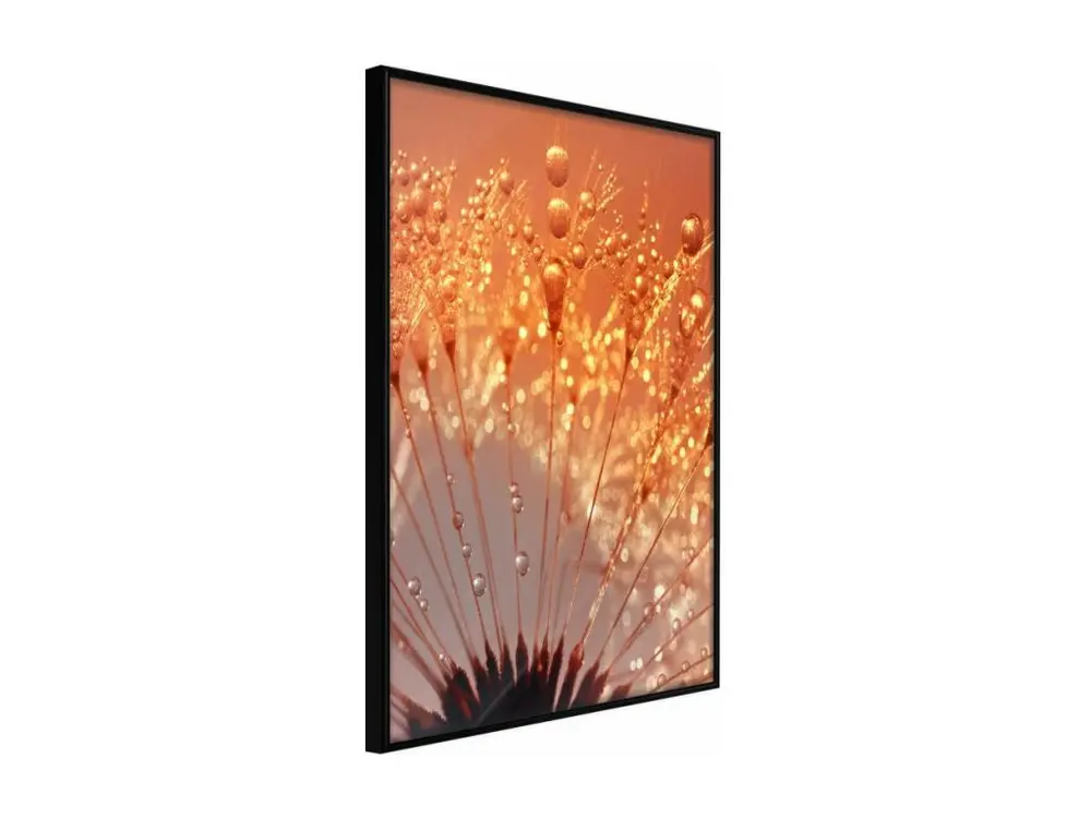 Affiche Murale Encadrée "Orange Breath of the Summer" 30 x 45 cm Noir