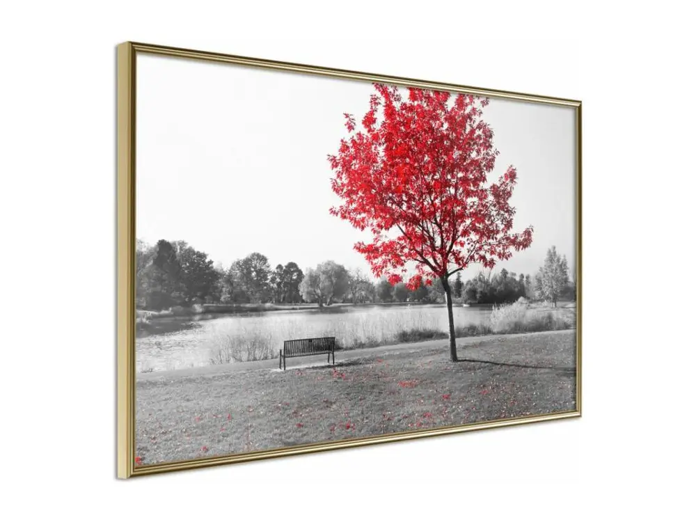 Affiche Murale Encadrée "Autumn Colours I" 60 x 40 cm Or