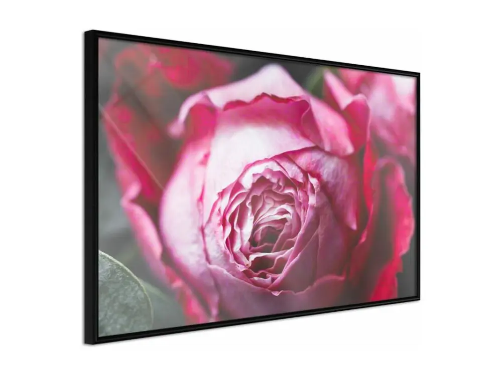 Affiche Murale Encadrée "Blooming Rose" 60 x 40 cm Noir