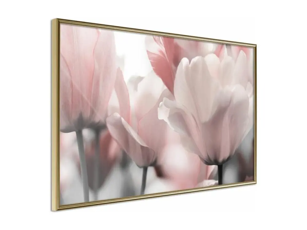 Affiche Murale Encadrée "Pastel Tulips II" 45 x 30 cm Or