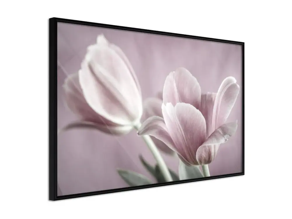 Affiche Murale Encadrée "Pastel Tulips I" 90 x 60 cm Noir