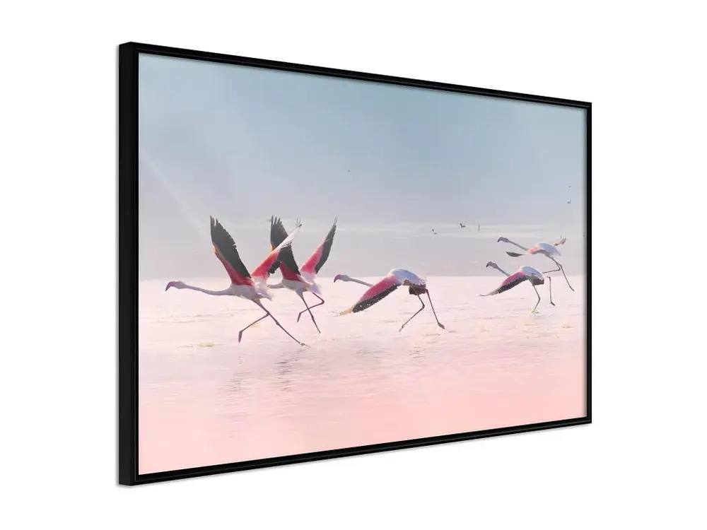 Affiche Murale Encadrée "Flamingos Breaking into a Flight" 90 x 60 cm Noir