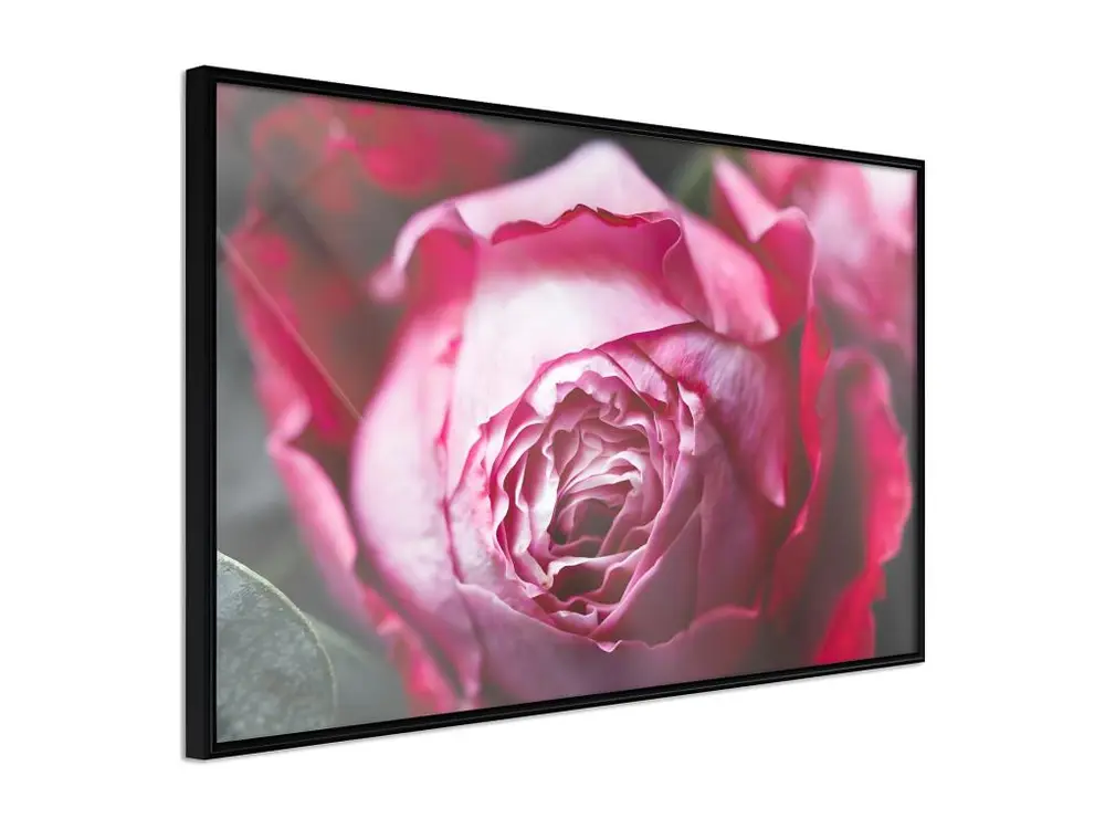 Affiche Murale Encadrée "Blooming Rose" 45 x 30 cm Noir