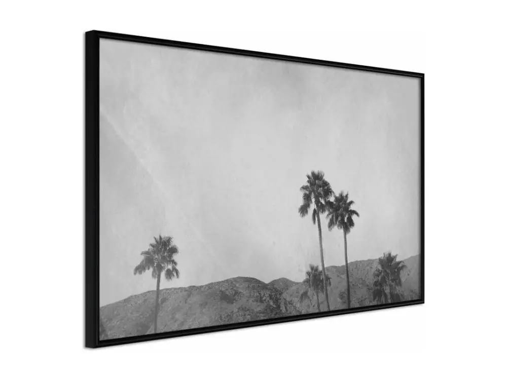 Affiche Murale Encadrée "Sky of California" 45 x 30 cm Noir