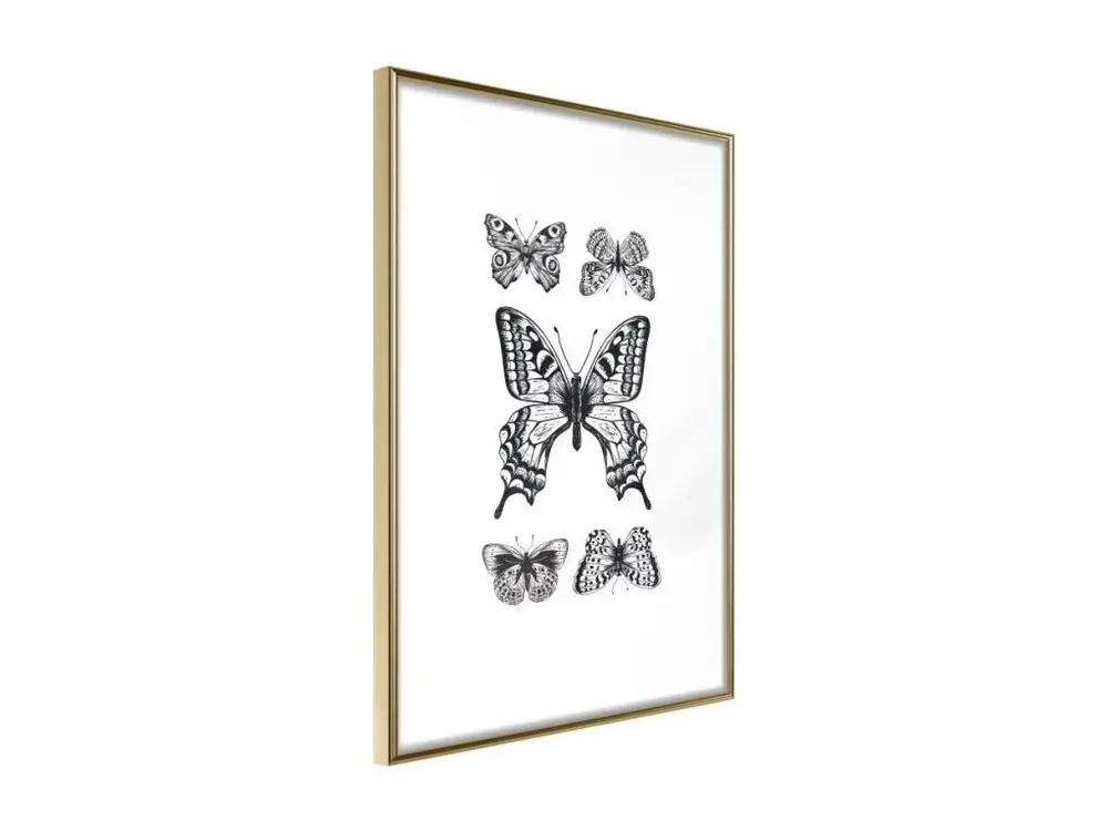 Affiche Murale Encadrée "Butterfly Collection IV" 40 x 60 cm Or