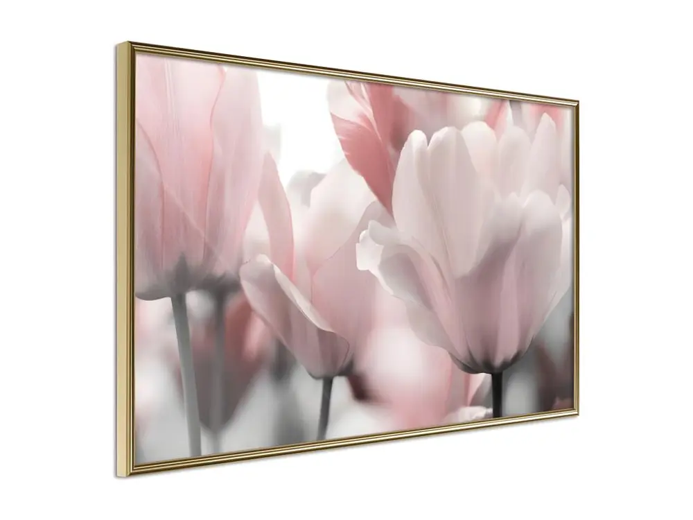 Affiche Murale Encadrée "Pastel Tulips II" 30 x 20 cm Or