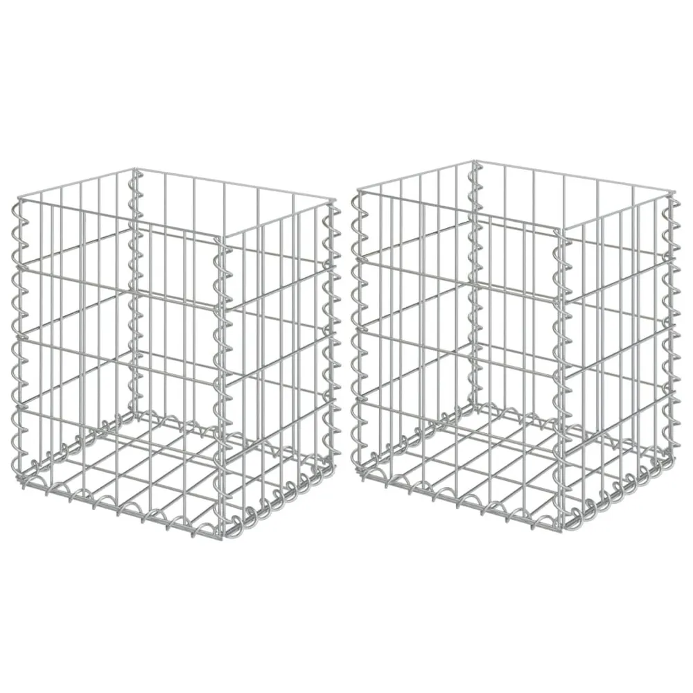 Paniers de gabion 2 pcs Acier galvanisé 30x30x40 cm