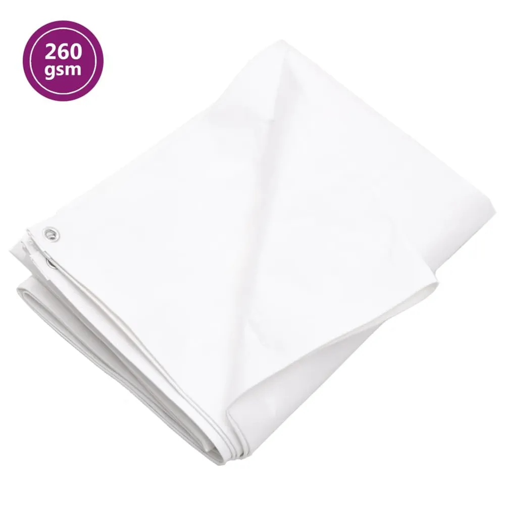 Bâche 260 g/m² 3x3 m Blanc PEHD