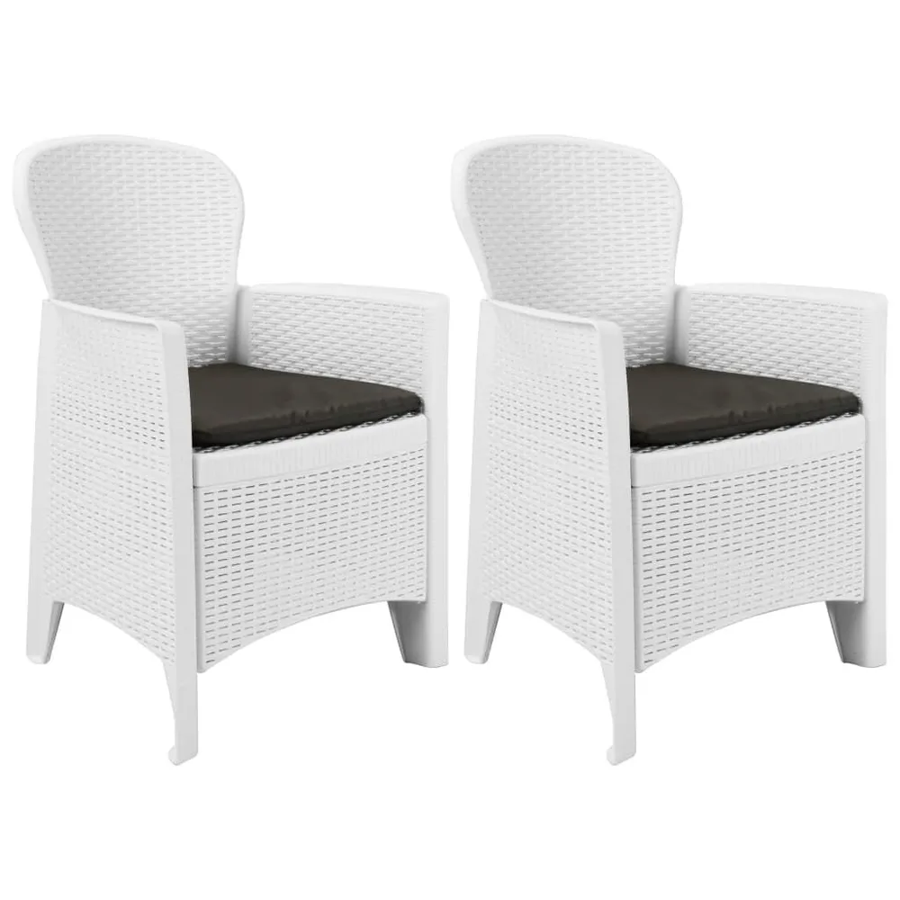 Chaise de jardin lot de 2 coussin Blanc Plastique Aspect rotin