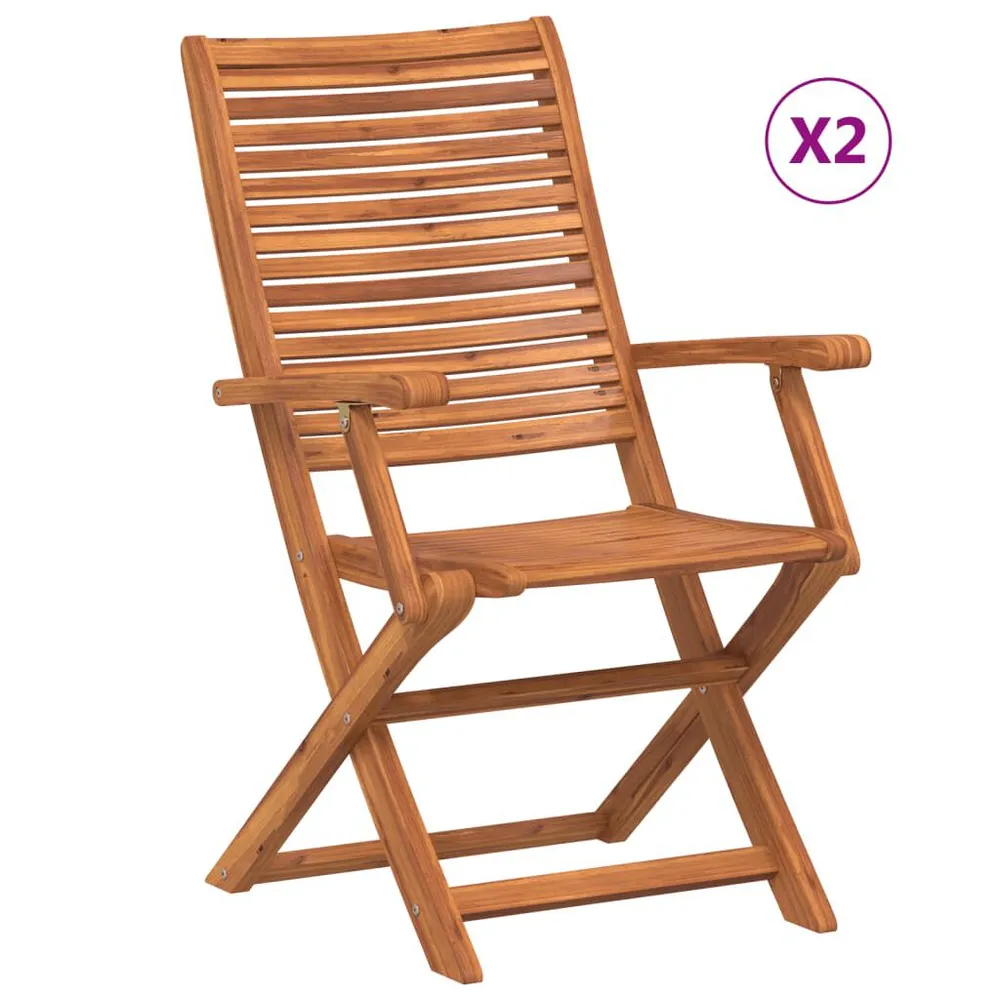 Chaises pliantes de jardin avec accoudoir lot de 2