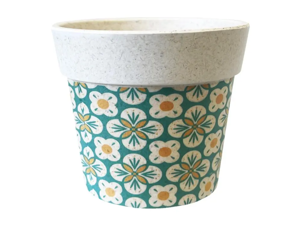 Mini cache pot en bambou pour mini succulentes