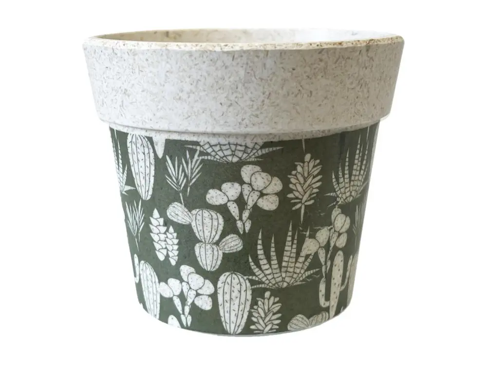 Mini cache pot en bambou pour mini succulentes