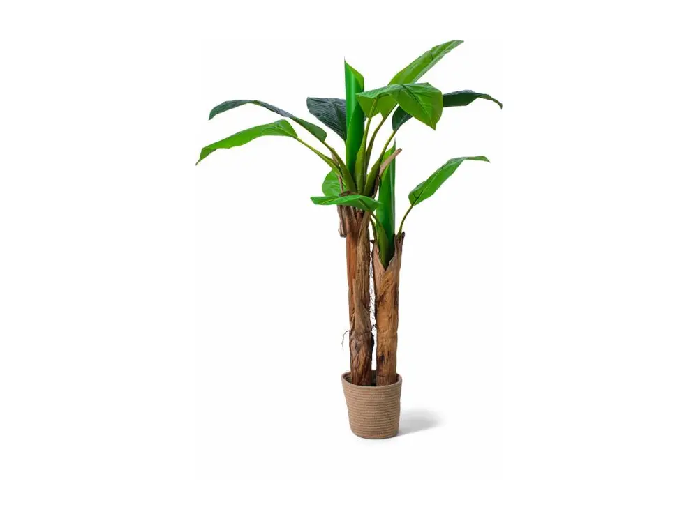 Banana Tree - Plante artificielle en pot H160 cm