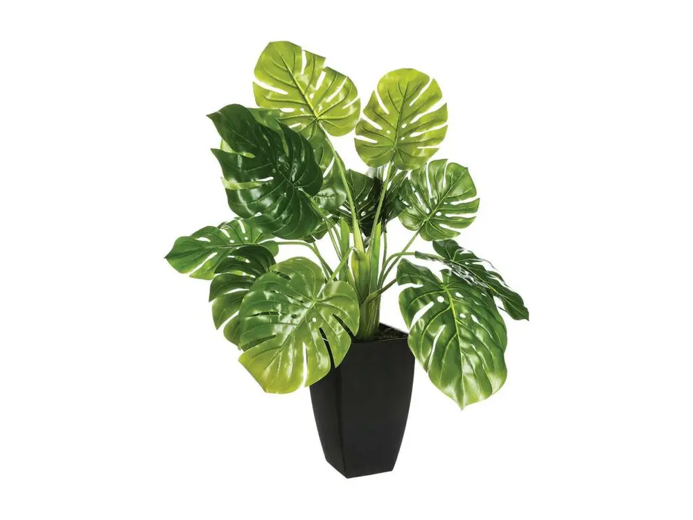 Plante artificielle Philodendron en pot H 70 cm