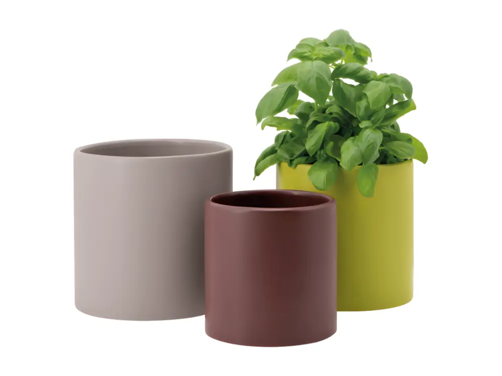 Lot de 3 pots de fleurs Siena Multicolore Remember