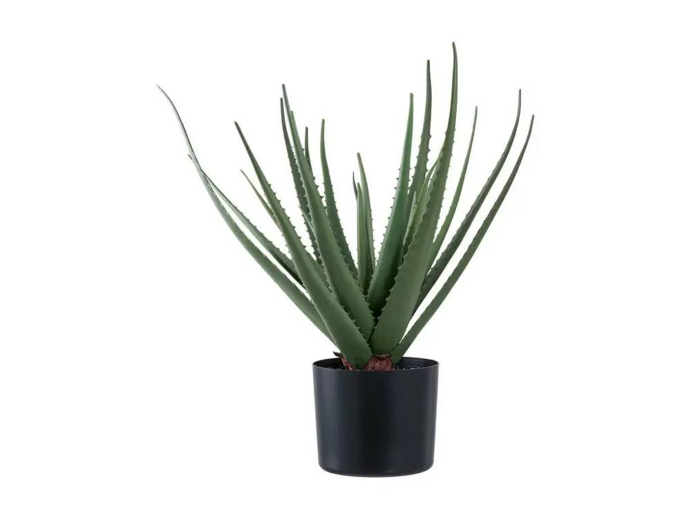 Plante Artificielle Aloe, Vert, 30,5x30,5x51 cm, EPIKASA