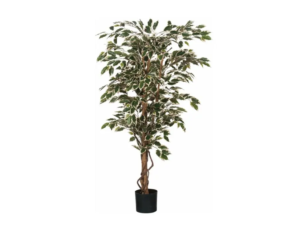 Plante artificielle en polyester et plastique - 150 x Ø75 - Vert, panaché - FICUS