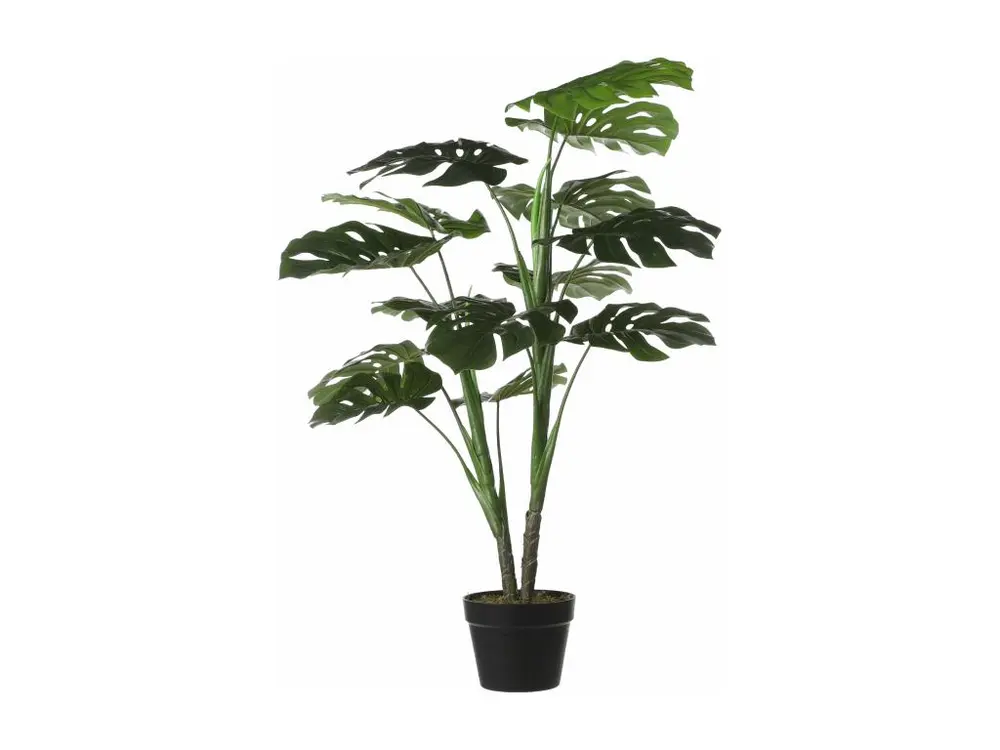 Plante artificielle en polyester et plastique - 100 x Ø70 - Vert - MONSTERA