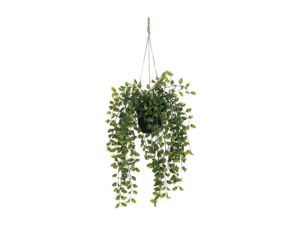 Plante artificielle suspendue en plastique - 46 x Ø20 - Vert - FICUS