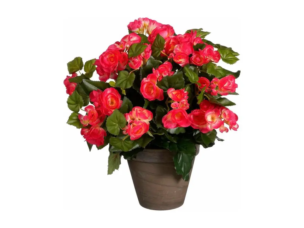 Plante artificielle en polyester - 37 x Ø36 - Rose foncé - BEGONIA