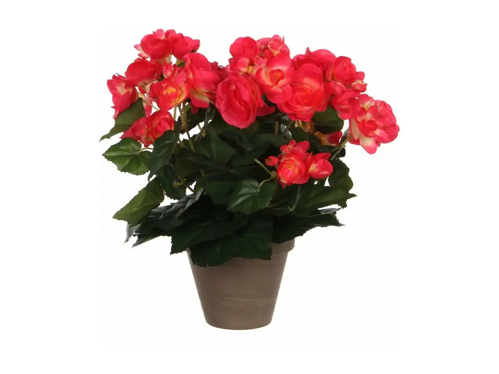 Plante artificielle en polyester et terre cuite - 30 x Ø25 - Rose foncé - BEGONIA