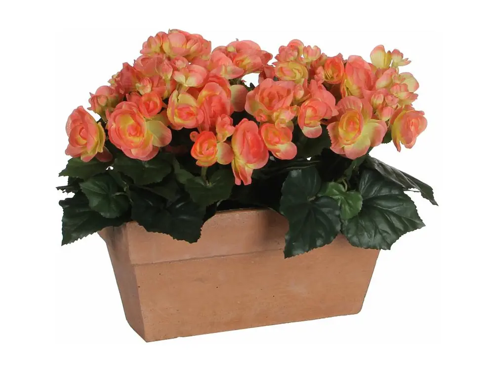 Plante artificielle en polyester - 29 x 13 x 25 - Rose saumon - BEGONIA