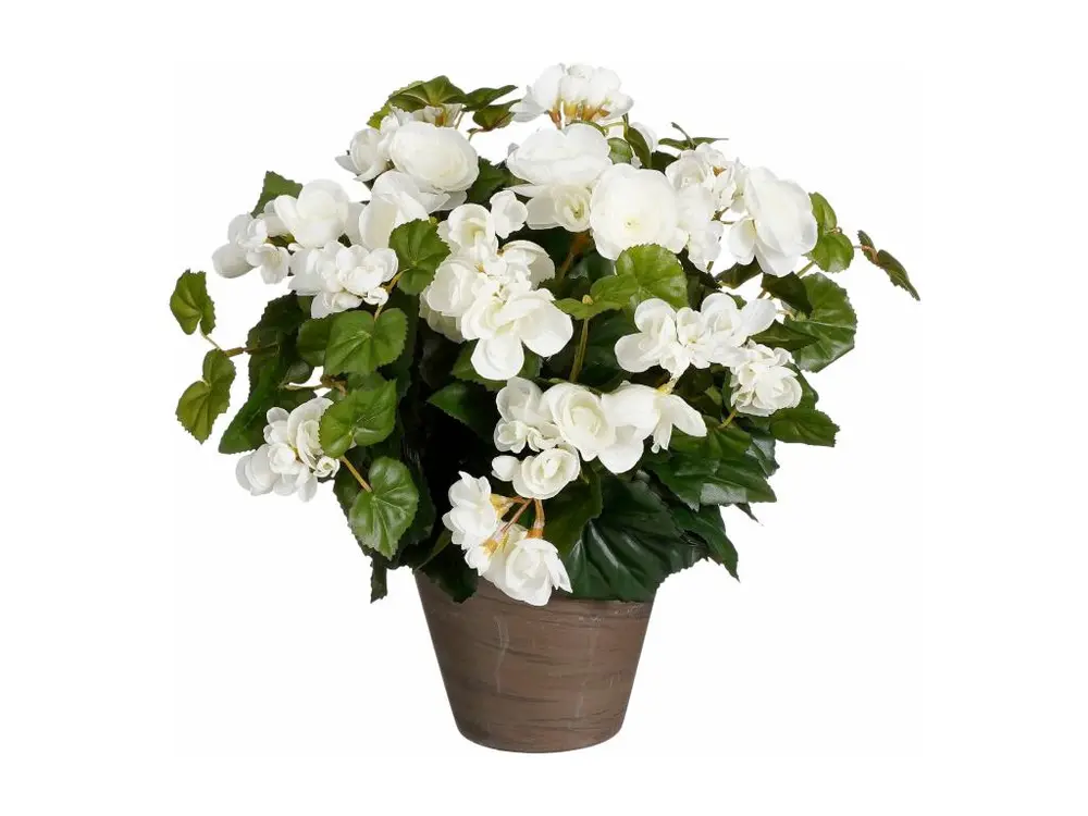 Plante artificielle en polyester - 37 x Ø36 - Blanc - BEGONIA