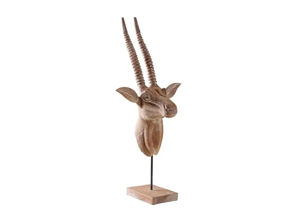 Trophée d'antilope