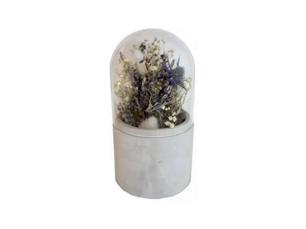 Verrine cloche fleurs séchées