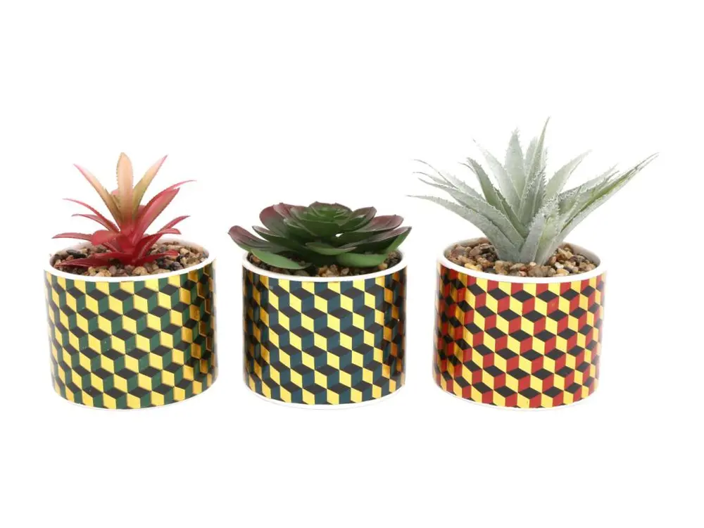 Plantes succulentes artificielles Cubic (Lot de 3)