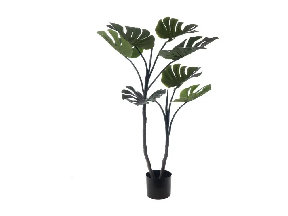 Monstera en pot 130