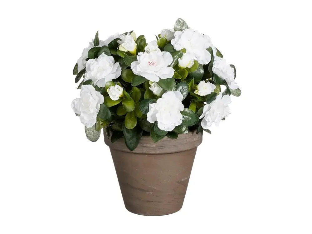 Plante artificielle en polyester - 31 x Ø26 - Blanc - AZALEA