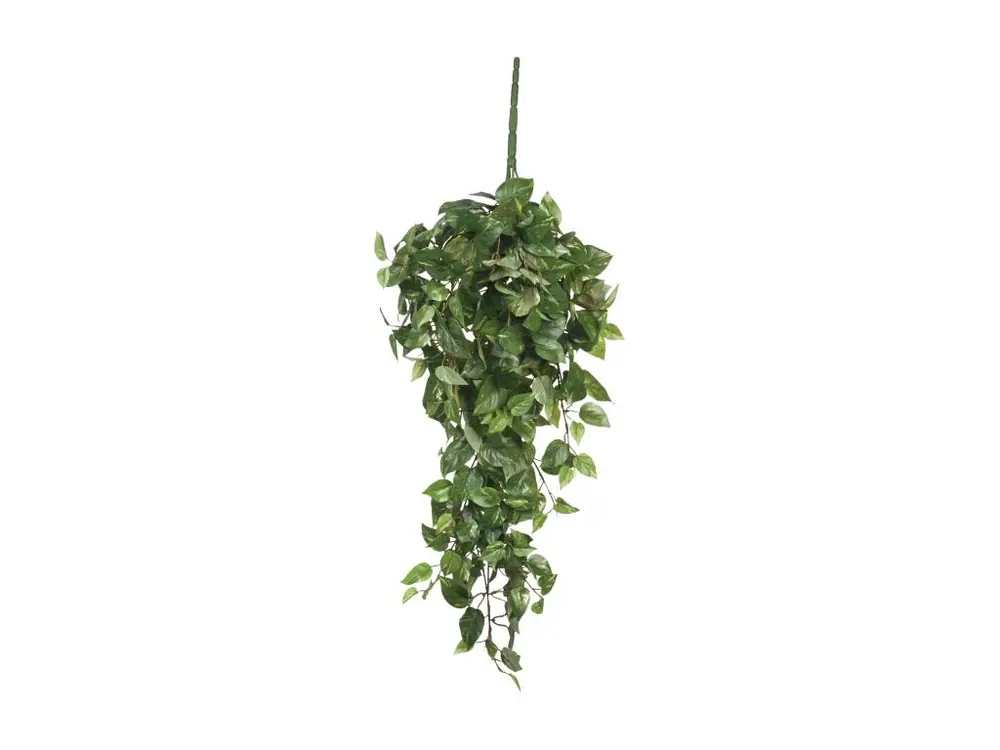 Plante artificielle suspendue en polyester - 15 x 30 x 80 - Vert - SCINDAPSUS HANGING