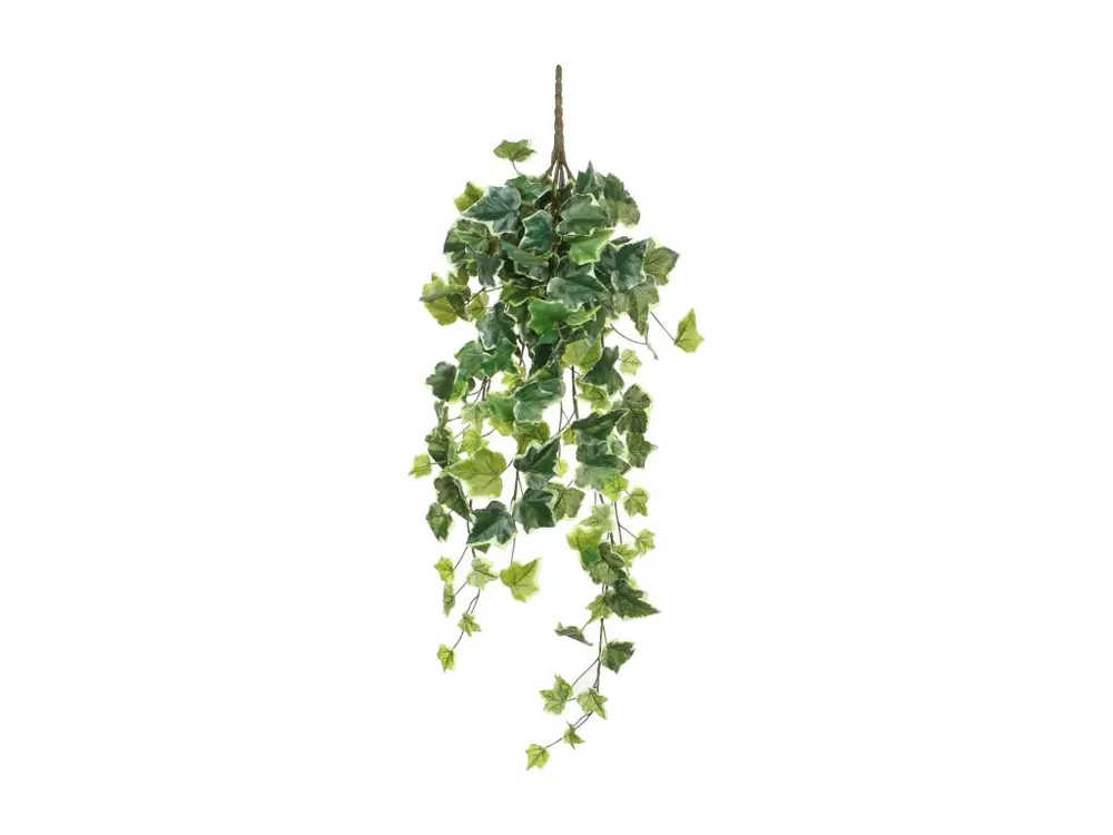 Plante artificielle suspendue en polyester - 20 x 15 x 71 - Vert, panaché - IVY