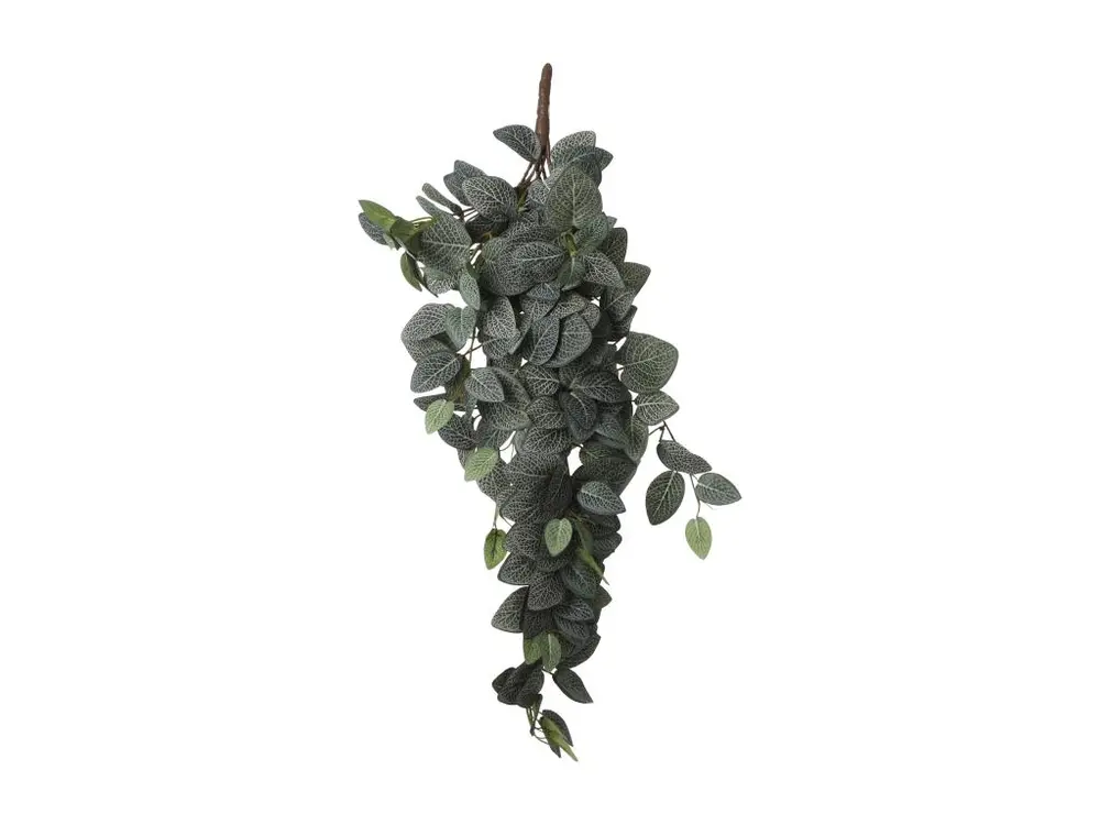 Plante artificielle suspendue en polyester - 20 x 15 x 54 - Vert - FITTONIA